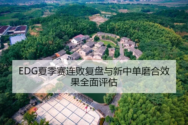 EDG夏季赛连败复盘与新中单磨合效果全面评估